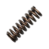 101-059 - Compression Spring Lip Latch